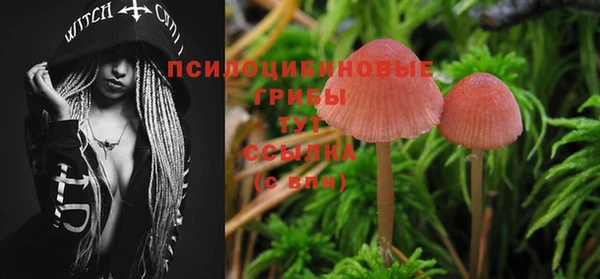стафф Алексеевка